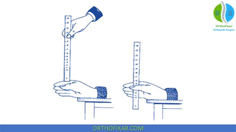 ruler drop test|free fall drop tester.